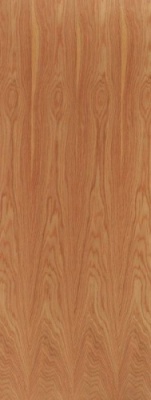 External Hardwood Blank Lipped FD30 Door