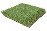 Gronograss Artificial Grass