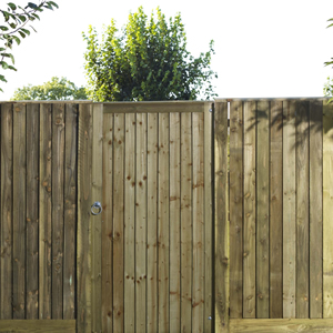 Fencing & Trellis