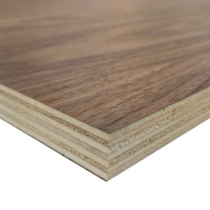 Crown Cut Walnut Veneered Plywood