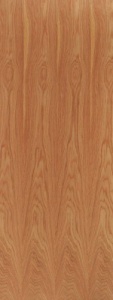 External Hardwood Blank Lipped FD60 Door